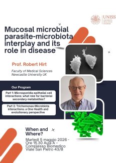 SEMINARIO VISITING PROFESSOR ROBERT HIRT